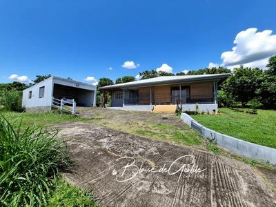 Propriété - 115 m² - 4 pièces