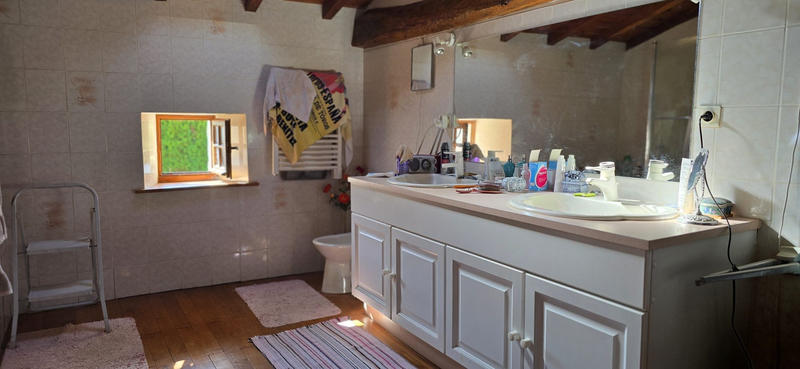 Viager - Maison ancienne - 248 m² - 11 pièces