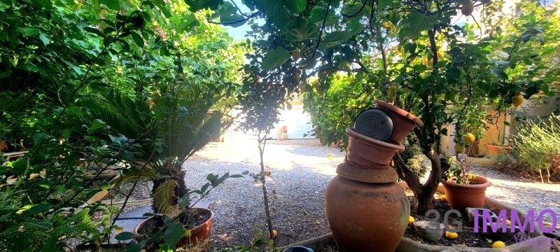 Viager - Maison - 300 m² - 8 pièces