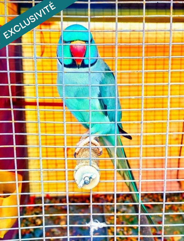 Maison de ville - 73 m² - 5 pièces