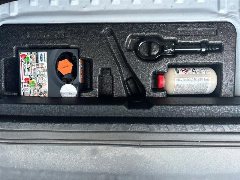 Ford EcoSport 1.0 Ecoboost 125 Bvm6 Titanium Business