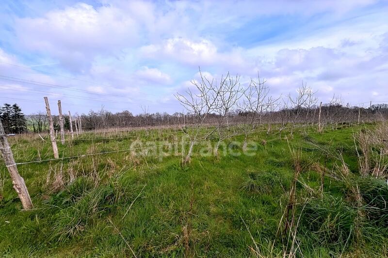 Terrain agricole - 33 210 m²
