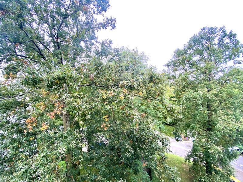 Appartement - 77 m² - 4 pièces