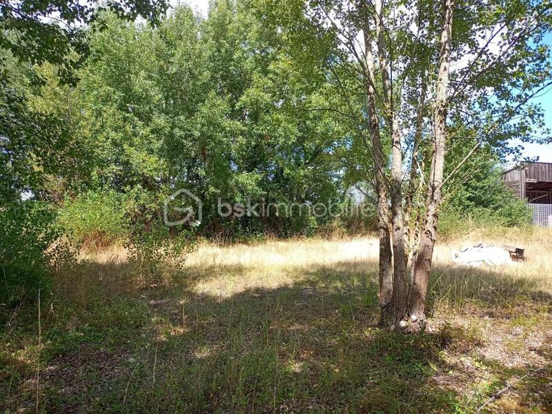 Entrepôt - 1 485 m² - 15 pièces