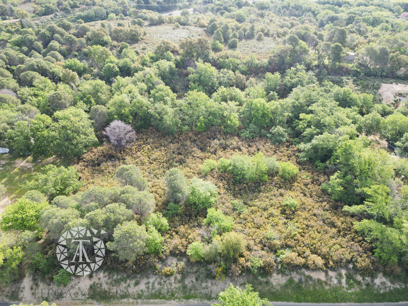 Terrain agricole - 2 600 m²