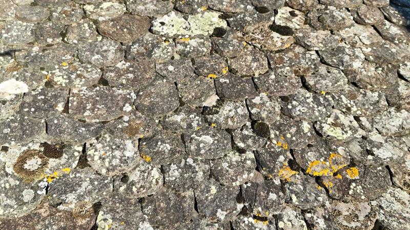 Maison - 52 m² - 3 pièces