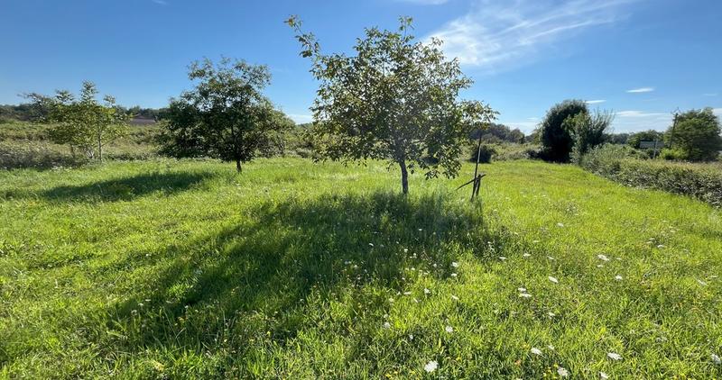 Terrain constructible - 1 221 m²