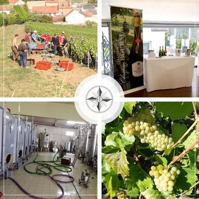 Champagne Bourmault et Fils