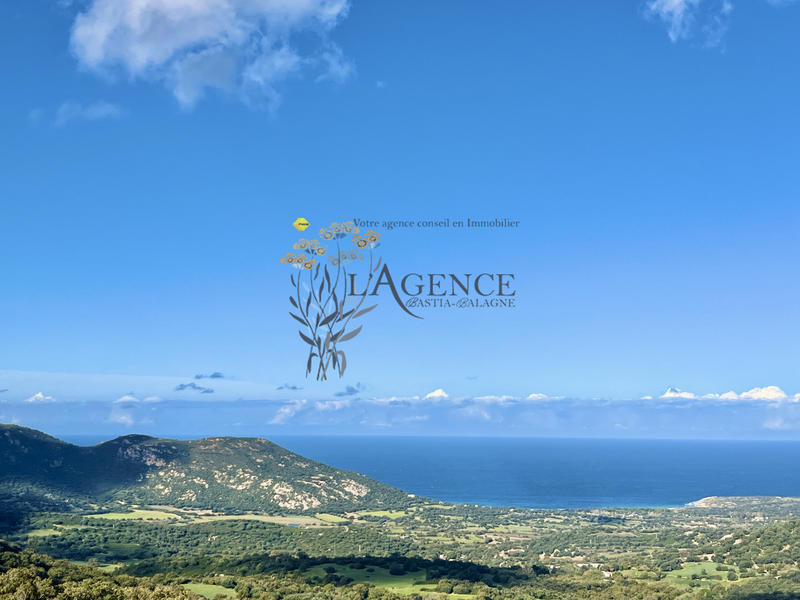 Maison - 271 m² - 9 pièces