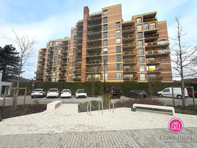 Appartement - 54 m² - 2 pièces