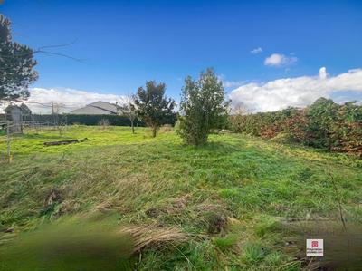 Terrain constructible - 973 m²