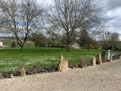 Viager - Maison - 110 m² - 4 pièces