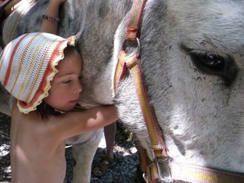 Sherp'Ânes les ânes du Causse