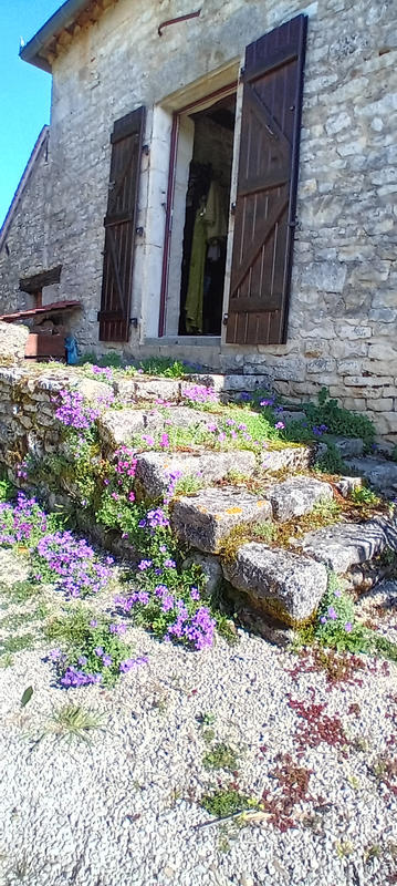 Maison - 179 m² - 6 pièces