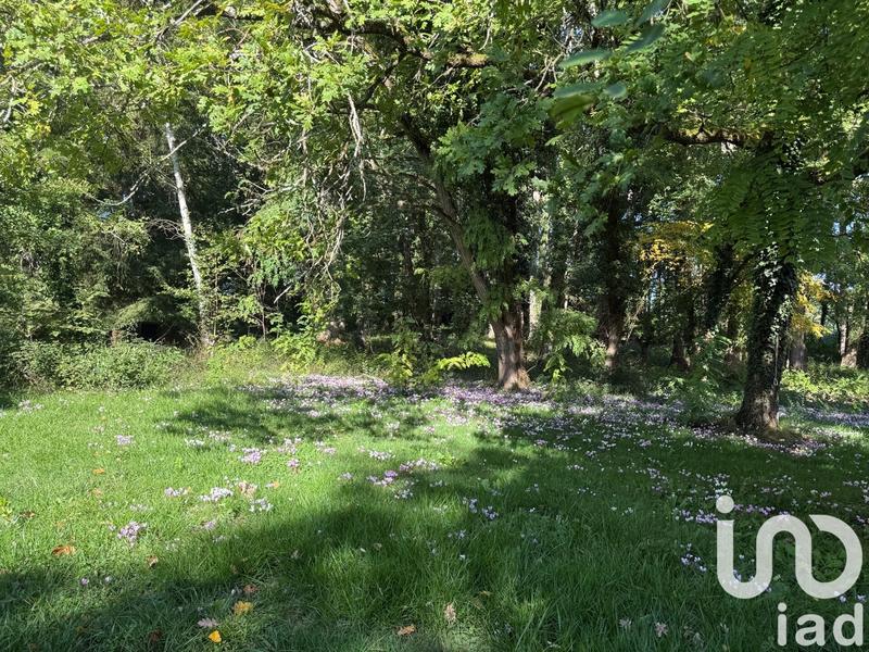 Maison - 300 m² - 8 pièces