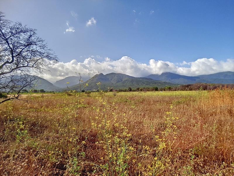 Terrain agricole - 2 231 m²