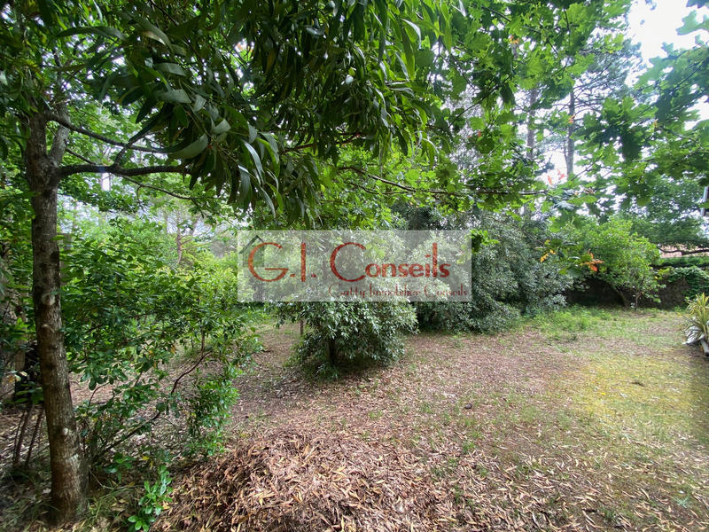 Maison - 65 m² - 3 pièces