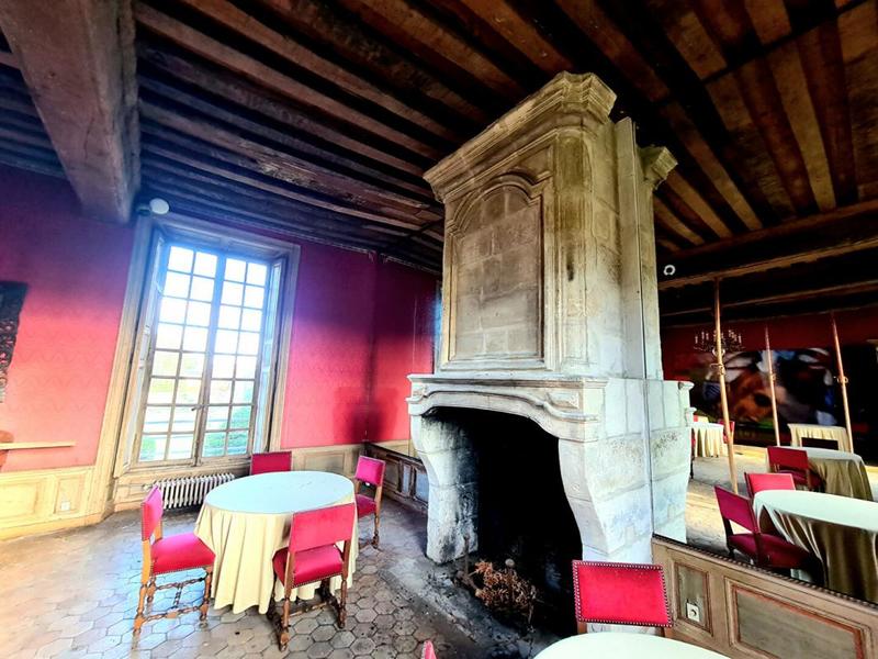 Château - 2 246 m² - 40 pièces