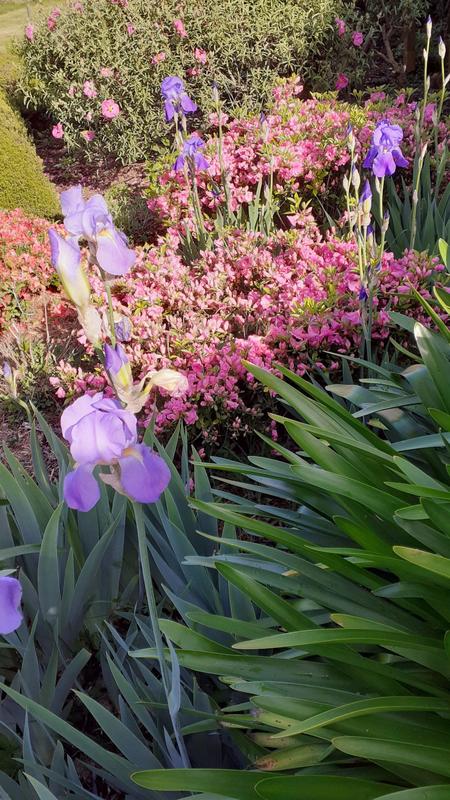 Appartement - 239 m² - 10 pièces