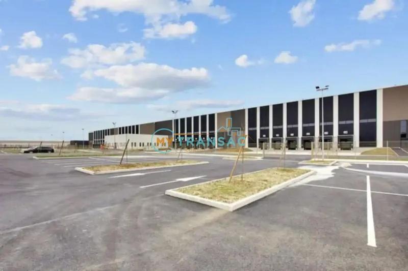 Local d'activité / Entrepôt - 6 280 m²