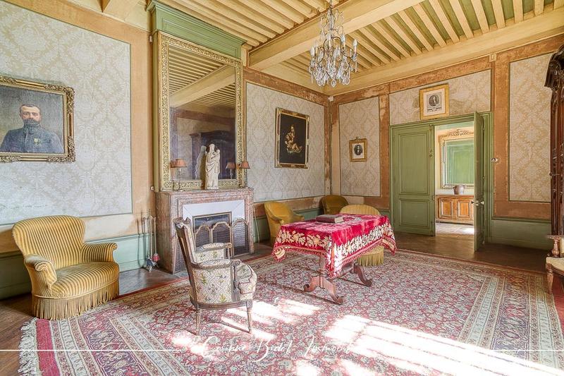 Château - 465 m² - 18 pièces