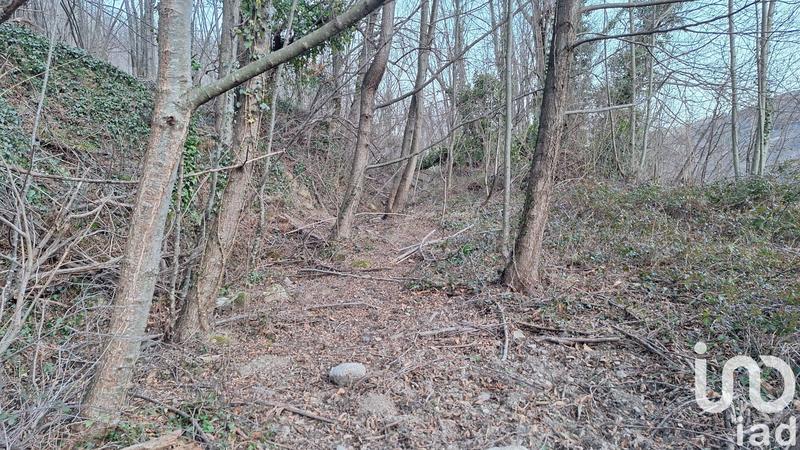 Terrain - 50 940 m²