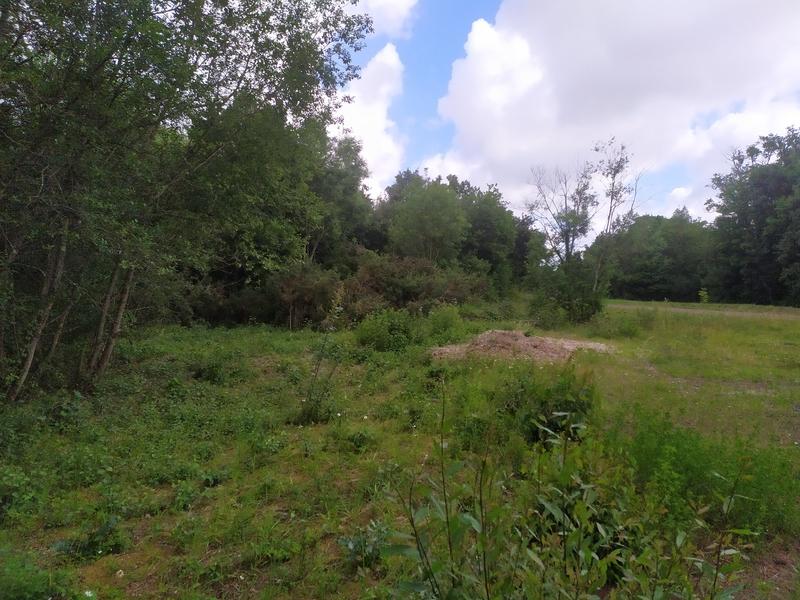 A la découverte des reptiles