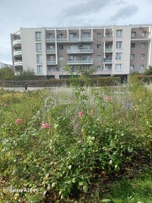 Appartement - 75 m² - 4 pièces