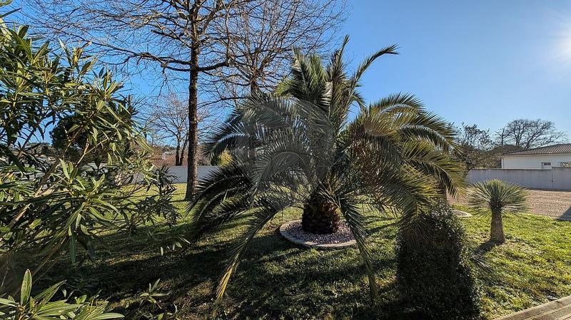 Maison - 290 m² - 9 pièces