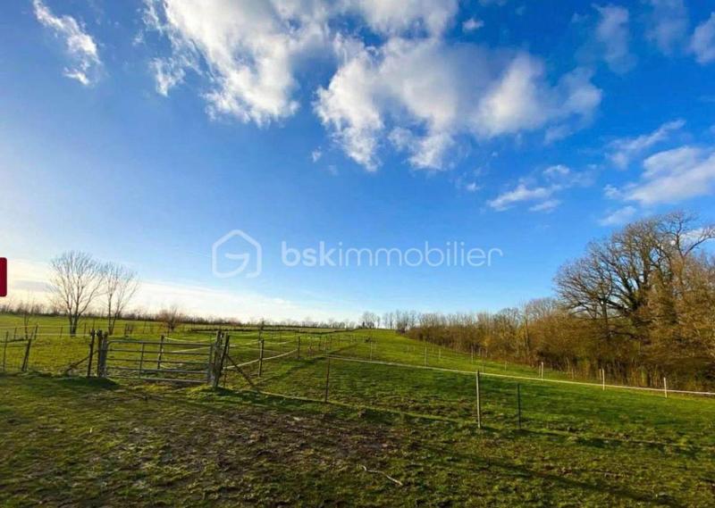 Propriété - 175 m² - 11 pièces