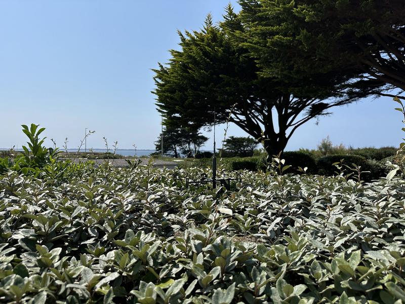 Appartement - 54 m² - 2 pièces