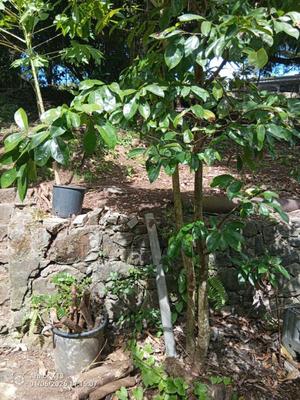 Terrain constructible - 840 m²