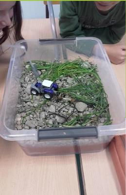 Atelier : les milieux humides