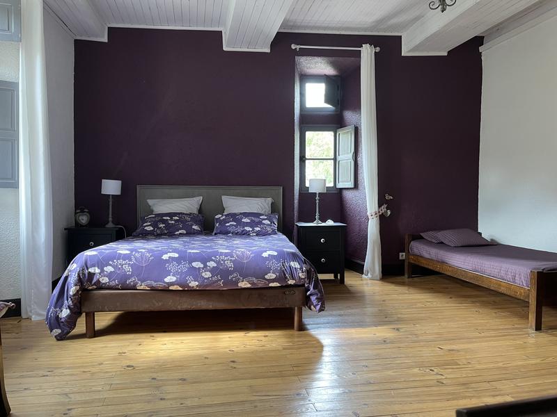 Château - 500 m² - 20 pièces