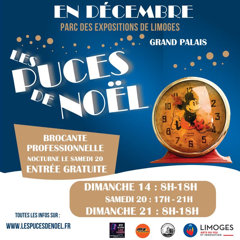 Puces de noël