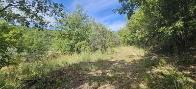 Terrain - 2 800 m²
