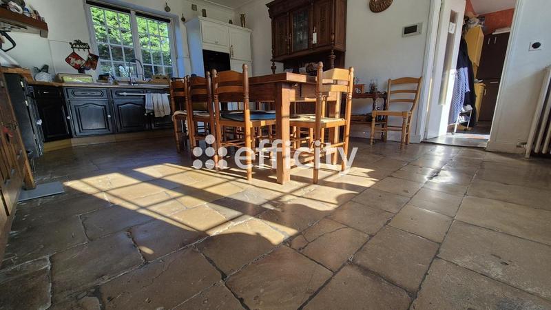 Maison - 495 m² - 14 pièces