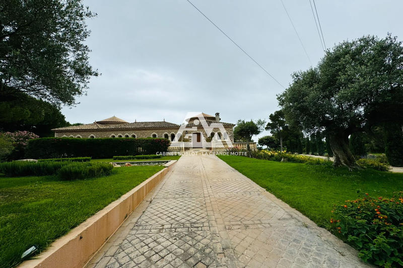 Maison de maîtres - 650 m² - 14 pièces