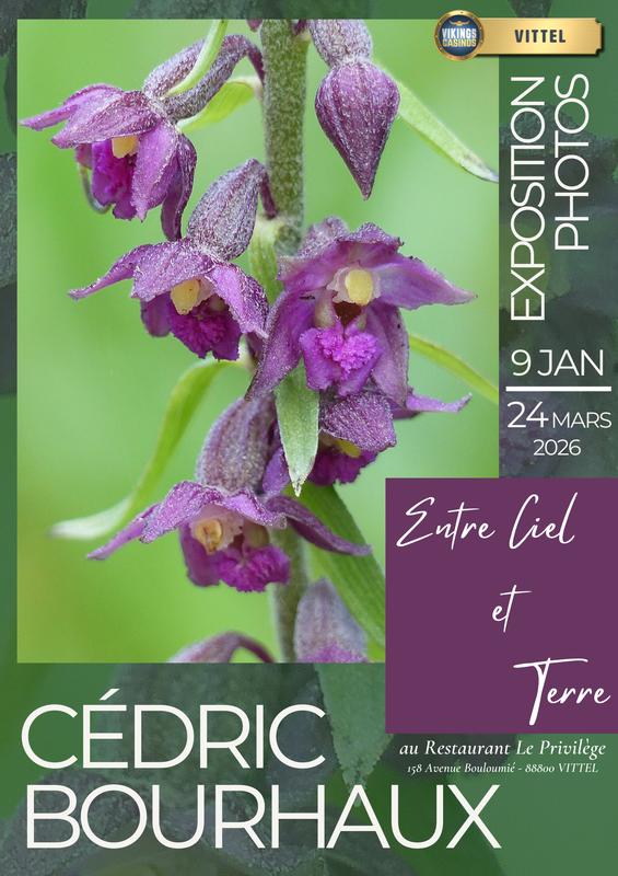 Exposition "Entre Ciel et Terre"