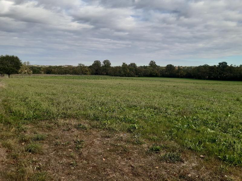 Maison - 205 m² - 6 pièces