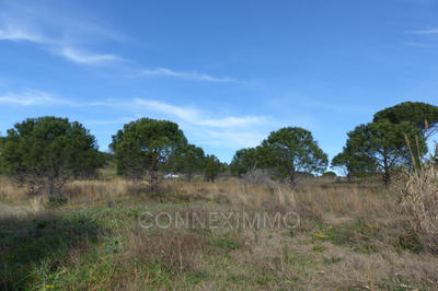 Terrain agricole - 12 250 m²