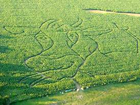 Les Labyrinthes de Puzieux