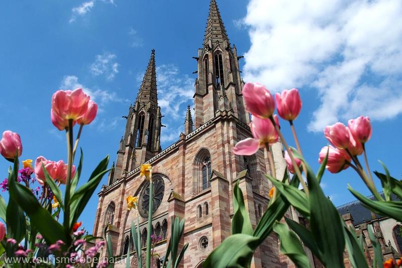 La vieille ville d'Obernai Réf 01