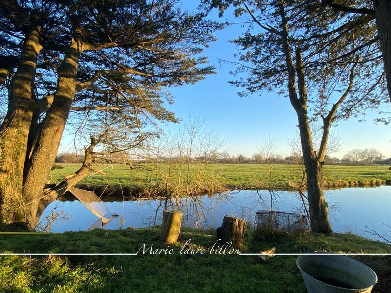 Maison - 440 m² - 8 pièces