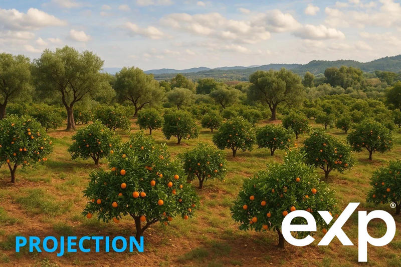 Fonds de commerce - Local commercial - 10 000 m²