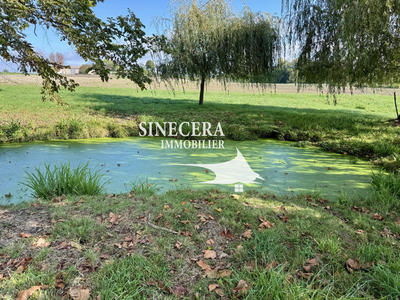 Propriété - 520 m² - 12 pièces