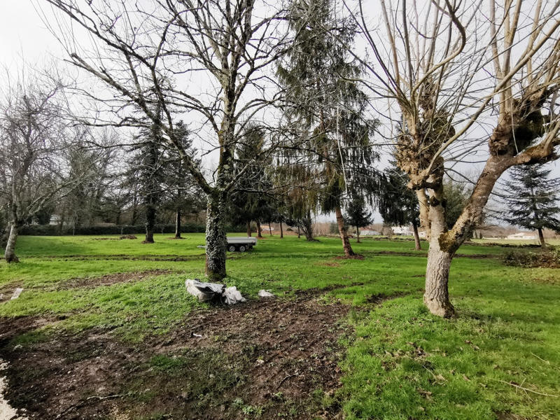 Maison - 248 m² - 10 pièces