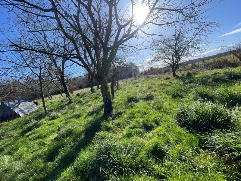 Maison - 150 m² - 1 pièce