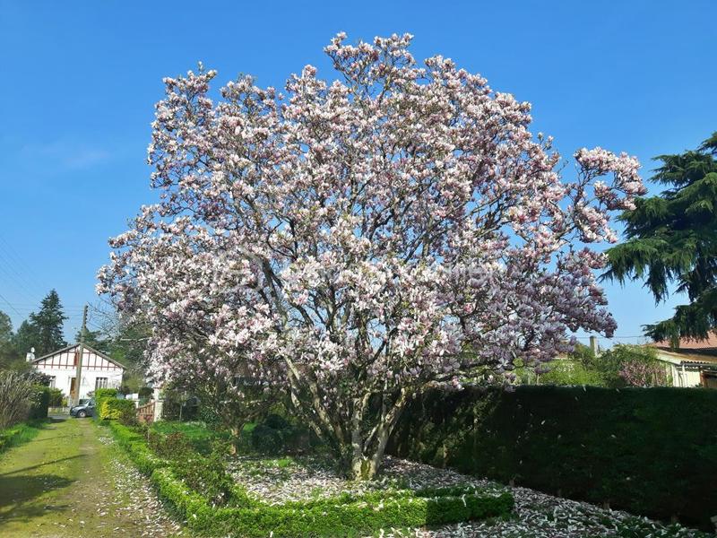 Maison d'architecte - 150 m² - 5 pièces