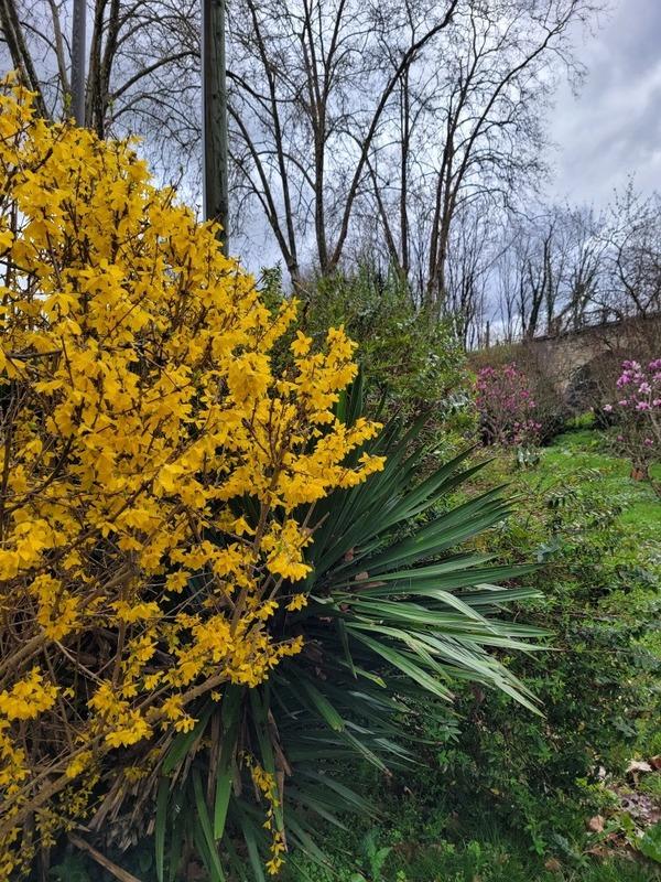 Maison - 90 m² - 3 pièces